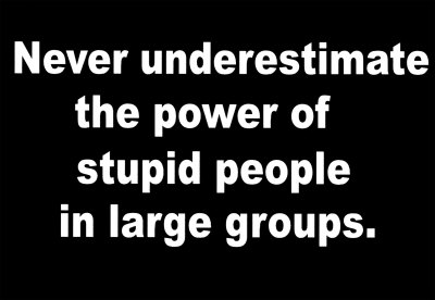 HM246~Never-Underestimate-The-Power-Of-Stupid-People-Posters